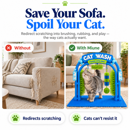 The Purr Arch